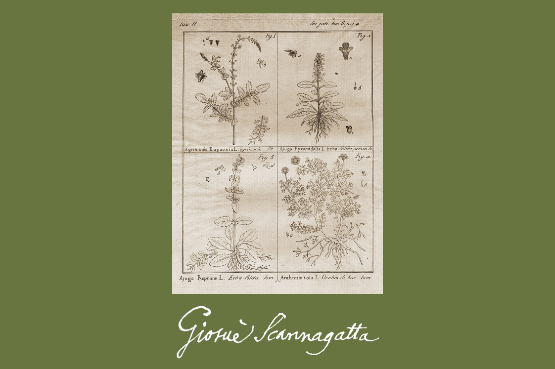 Botanico Giosuè Scannagatta